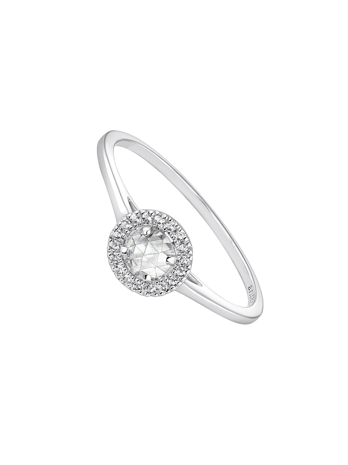 TITLE N/A 13 / ANILLO / ORLA, 347